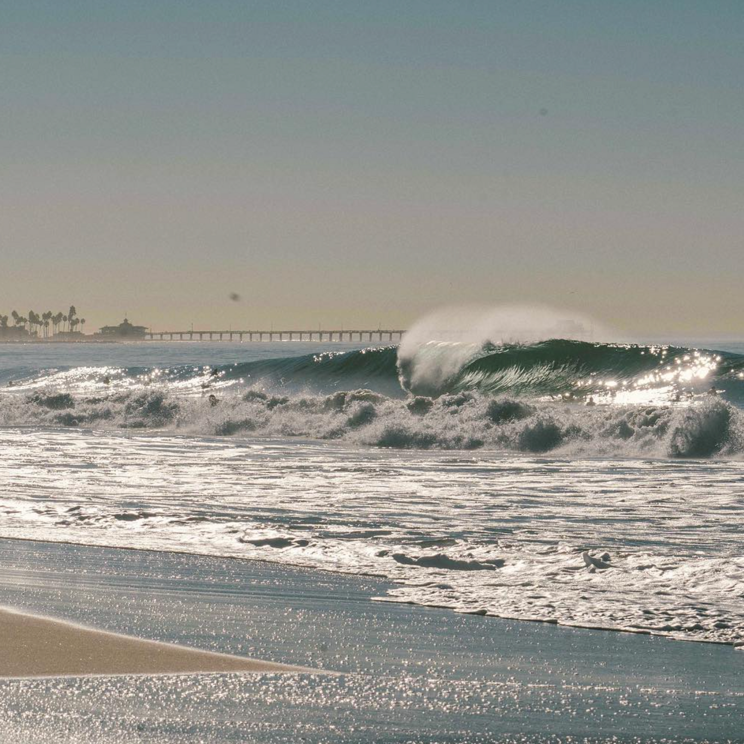 Understanding Surf Reports: What to Look for as a Beginner